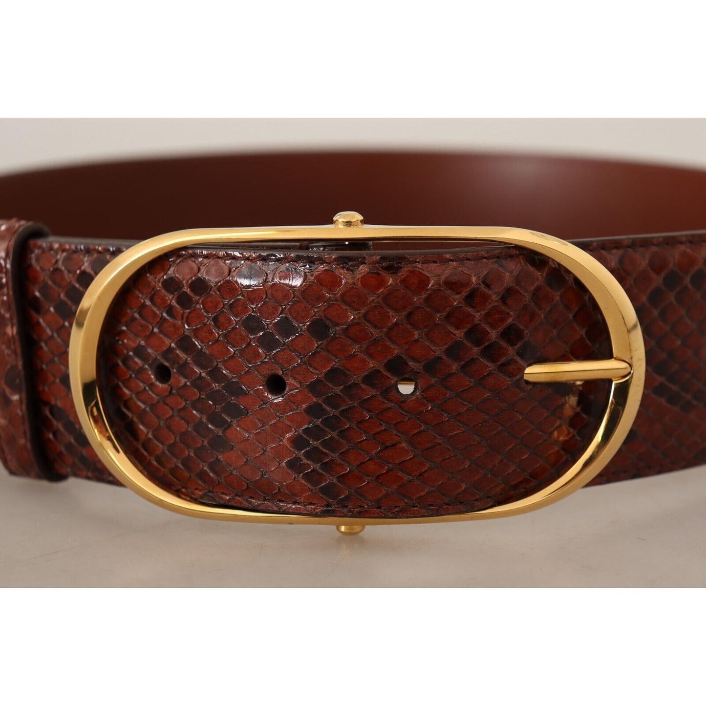 Dolce & Gabbana Elegant Python Snake Skin Leather Belt WOMAN BELTS Dolce & Gabbana Dark Slate Gray