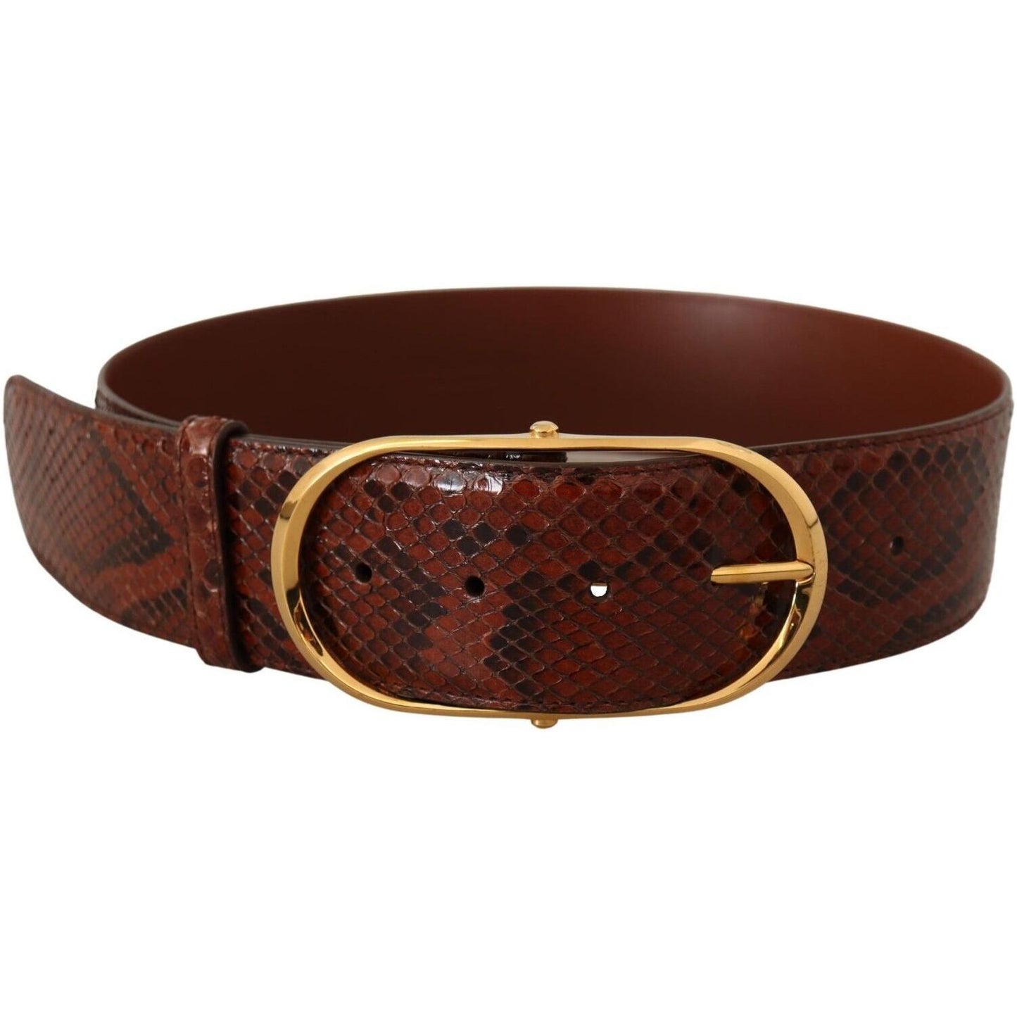 Dolce & Gabbana Elegant Python Snake Skin Leather Belt WOMAN BELTS Dolce & Gabbana Dark Slate Gray