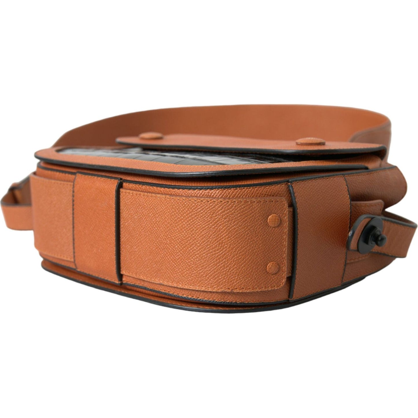 Balenciaga Elegant Crocodile Leather Camera Bag Balenciaga Sienna