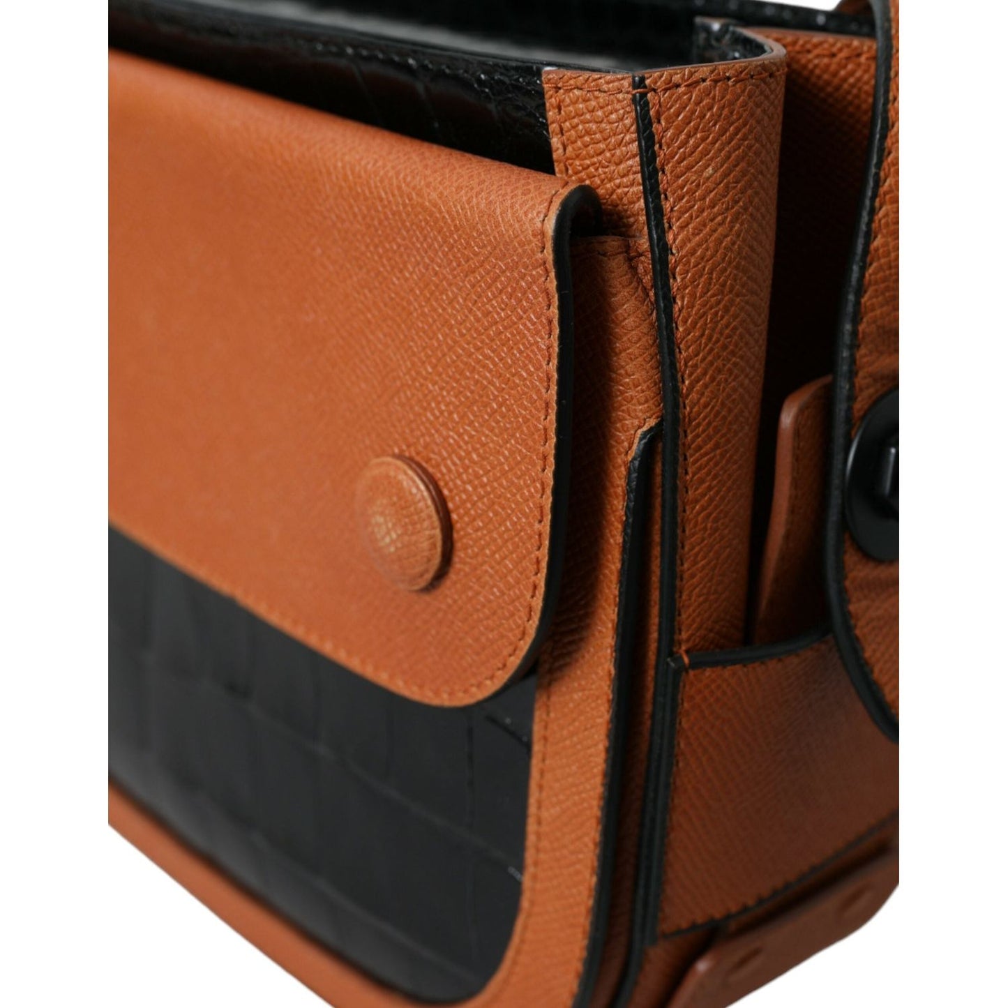 Balenciaga Elegant Crocodile Leather Camera Bag Balenciaga Sienna