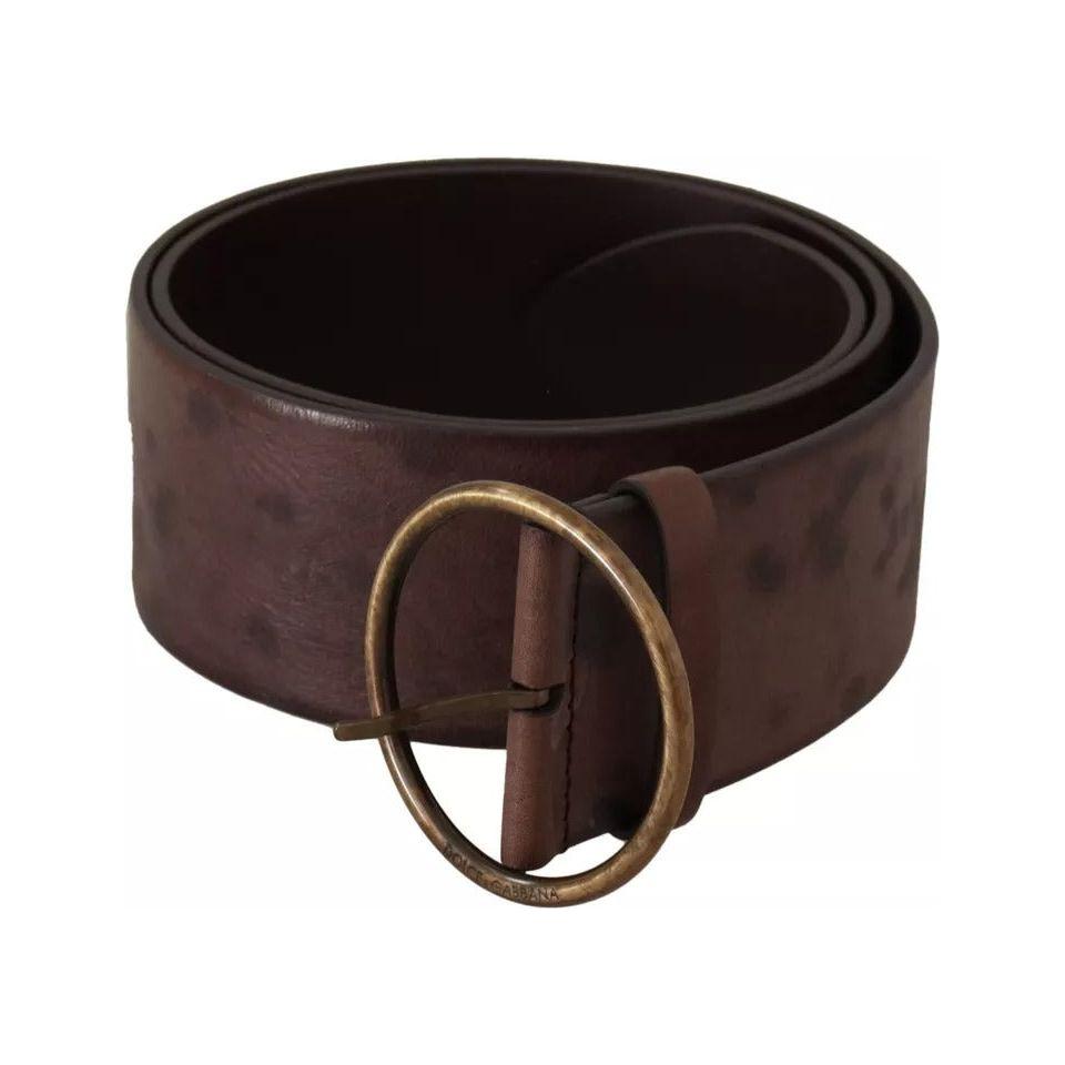 Dolce & Gabbana Dark Brown Wide Calf Leather Logo Round Buckle Belt Dolce & Gabbana Dark Slate Gray
