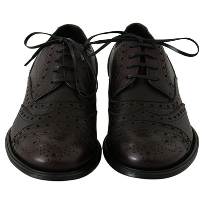 Dolce & Gabbana Brown Leather Wingtip Derby Formal Shoes 1728,67345645728,Brown,Dolce & Gabbana,EU39/US6,Formal - Men - Shoes,Material: 100% Leather,Men,Men - Shoes,New with tags,Oxfords and Derbies - Shoes,Shoes
