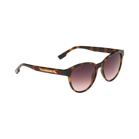 Lacoste Brown Injected Sunglasses