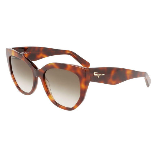 Ferragamo Brown Acetate Sunglasses FESF1061S240AC